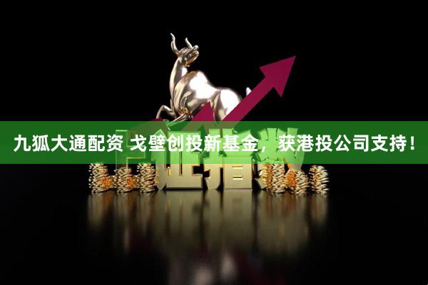 九狐大通配资 戈壁创投新基金，获港投公司支持！